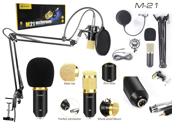 Condenser Microphone รุ่น M21